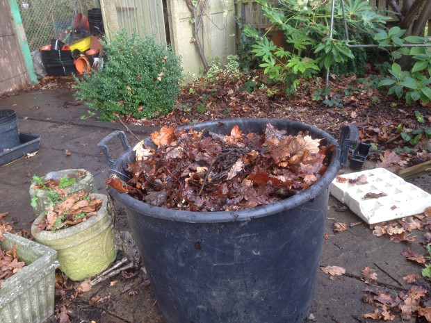 Composting: Leafmould